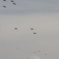 Flyover-3