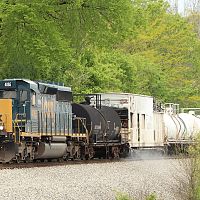 DPP_319