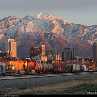 UP SLC