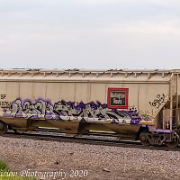 _MG_6897
