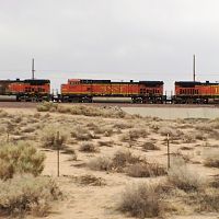 Mojave1