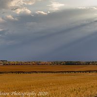 _MG_9958
