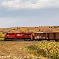 _MG_9981