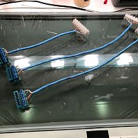 IMG_3807[61592]