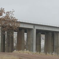 Bridge - Looking Up.