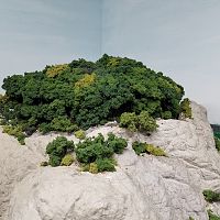 Forested top of Granite Mountain helix lid