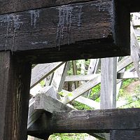 IMG_0550c
