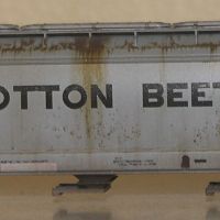 SSW-Ootton Beet-2