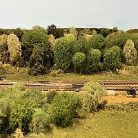 Refurbished Trees behind the Double Main behind Creve Coeur Transfer