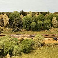 Refurbished Trees behind the Double Main behind Creve Coeur Transfer