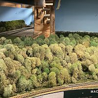 Mackinaw Woods, showing lower exit of Pekin Helix