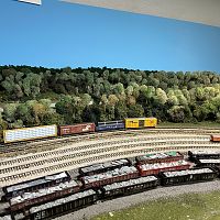 Trees behind Kickapoo Yard