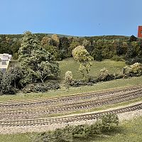 Trees behind East End Glen Ave Yard