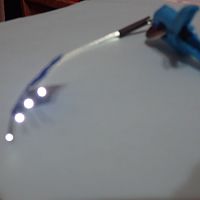 PB090091