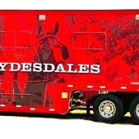 Bud Horses Curbside