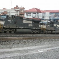 IMG 0016