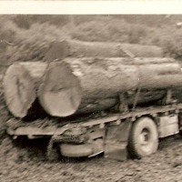 KB7 iNTERNATIONAL carting native timber during land clearingfor farm 1948 Murchison nz