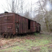 Camp18 031409066