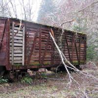 Camp18 031409069