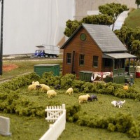 6145.jpg