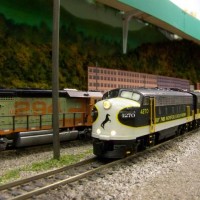 7340.jpg