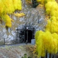 TennPass042509008