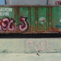 I hand paint and airbrush one of a kind scale freight cars based on actually 'tagged' cars.  Each are aged and weathered to various degrees, and the graffiti is airbrushed (No Decals) . This photo batch are all HO scale and photographed outdoors in Long beach harbor area on a small diorama.