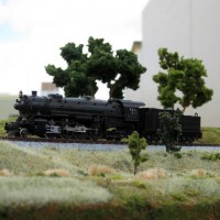 First try at outdoor, natural light photography.