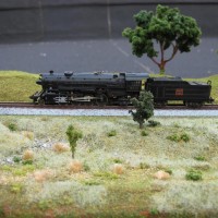 First try at outdoor, natural light photography.