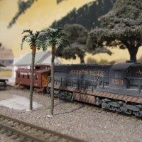 "the" locomotive of the NWP (the SD 7's were first!)