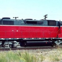 corp3811WeedCA090300