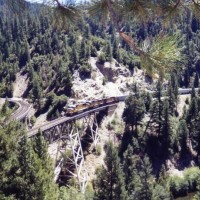 A Union Pacific train crosses the Keddie Wye.