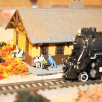 IMG 9758 copy