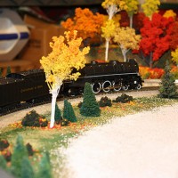 IMG 9776 copy
