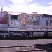 A very worn out Southern Pacific Alco