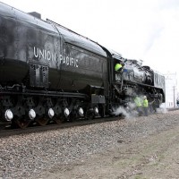 Lodgepole NE 5