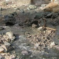 River surface