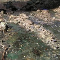River bed and surface