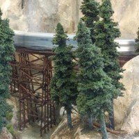 Action shot - the El Capitan crossing the bridge