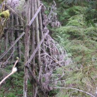 Another view of the trestle remains near Keasey.