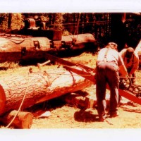 Pomeroy Steam Logging Weekend: This saw utilized a hit-and-miss engine and was being used to saw round which were then split to be used as fuel for the Willamette yarder, which is to the left in this photo.
