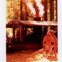 Pomeroy Steam Logging Weekend: Another view of the loader.