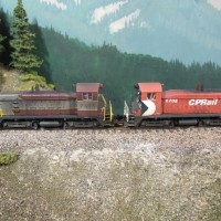 weathering 15 2
Nelson West switchers