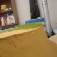DSC01004