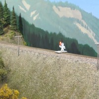 small flagman 1