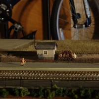 tn DSC 3593