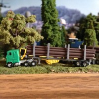 Completed Logging truck with bunks printed at Shapeways designed by southernnscale