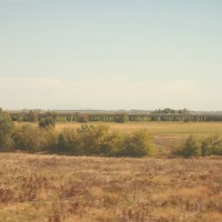 tn DSC 4252