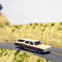 Woodie001