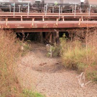 East Yard, San Antonio